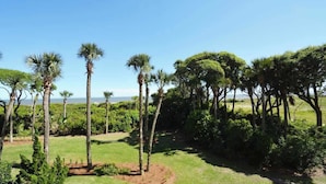A landscaped area with palm trees and a grassy field, likely part of a resort or hotel property.