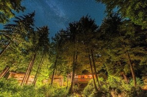 A cabin surrounded by tall trees under a starry night sky.