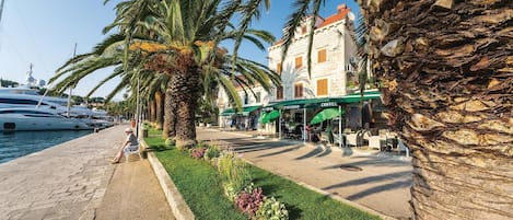 A coastal street with a café, palm trees, and yachts docked nearby.