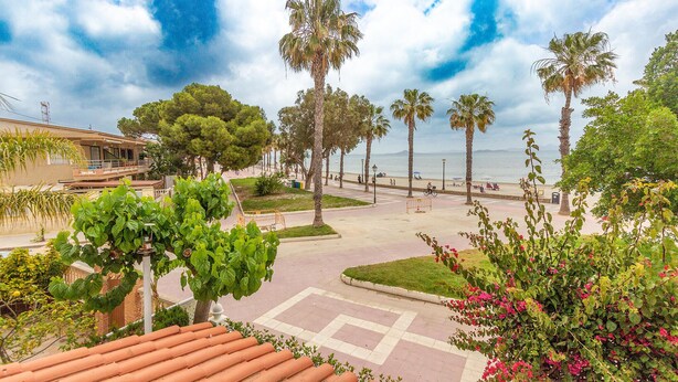 Une promenade en bord de mer bordée de palmiers, une plage et un sentier dallé.