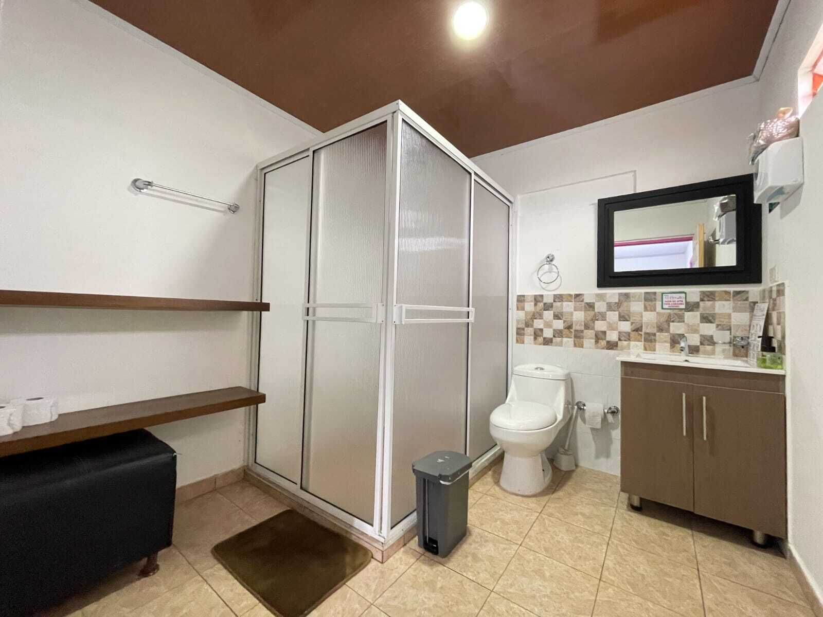 Un baño con ducha, inodoro, lavabo y un espejo sobre el lavabo.