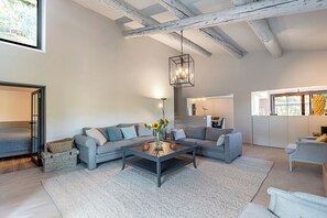 TV, fireplace, books, stereo