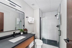 Hair dryer, towels, soap, shampoo - 2 BR 2 BA in Canal Park Close to everything! (Duluth)