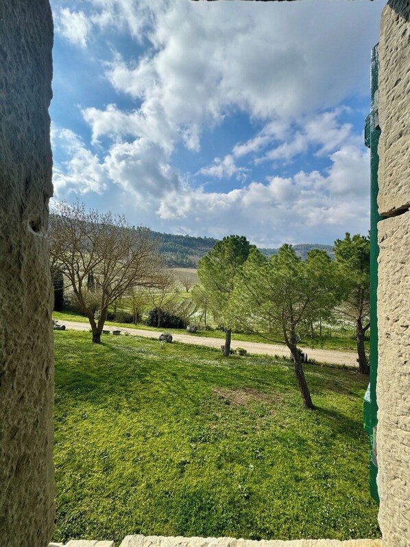 A view through a window with a grassy area, trees, and a distant landscape.