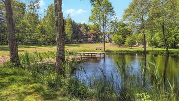 Área da propriedade