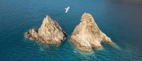 Two rocky formations in a body of water with a bird flying nearby.