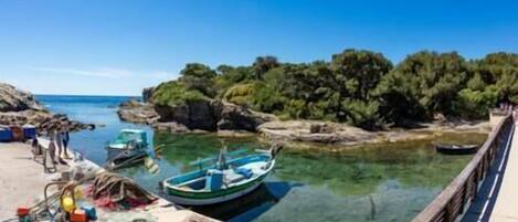 A coastal area with boats docked at a pier, surrounded by rocky terrain and dense greenery.