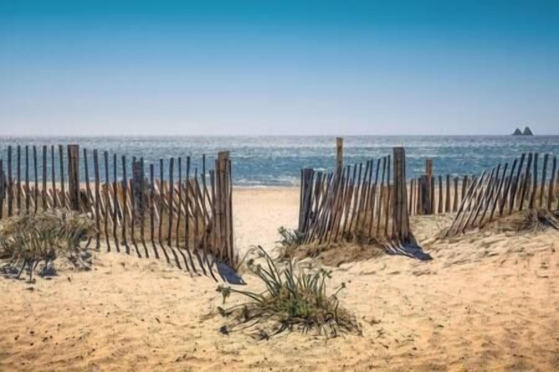 A sandy beach with wooden posts and sparse vegetation.
