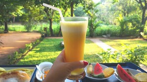 A hand holding a glass of orange juice with a straw, a plate with a slice of watermelon, a slice of pineapple, and a small bowl of orange slices. - The Cattleya Guest House  (Sigiriya)