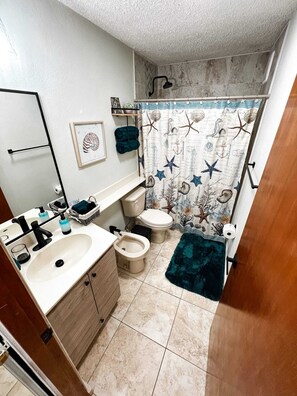 Shower, hair dryer, bidet, towels