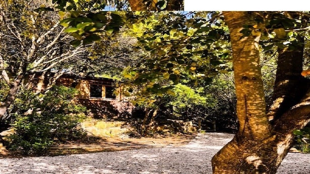 Property grounds - Chalet en Pleine Nature (Besse-sur-Issole)