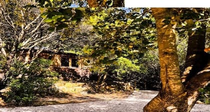 Chalet en Pleine Nature