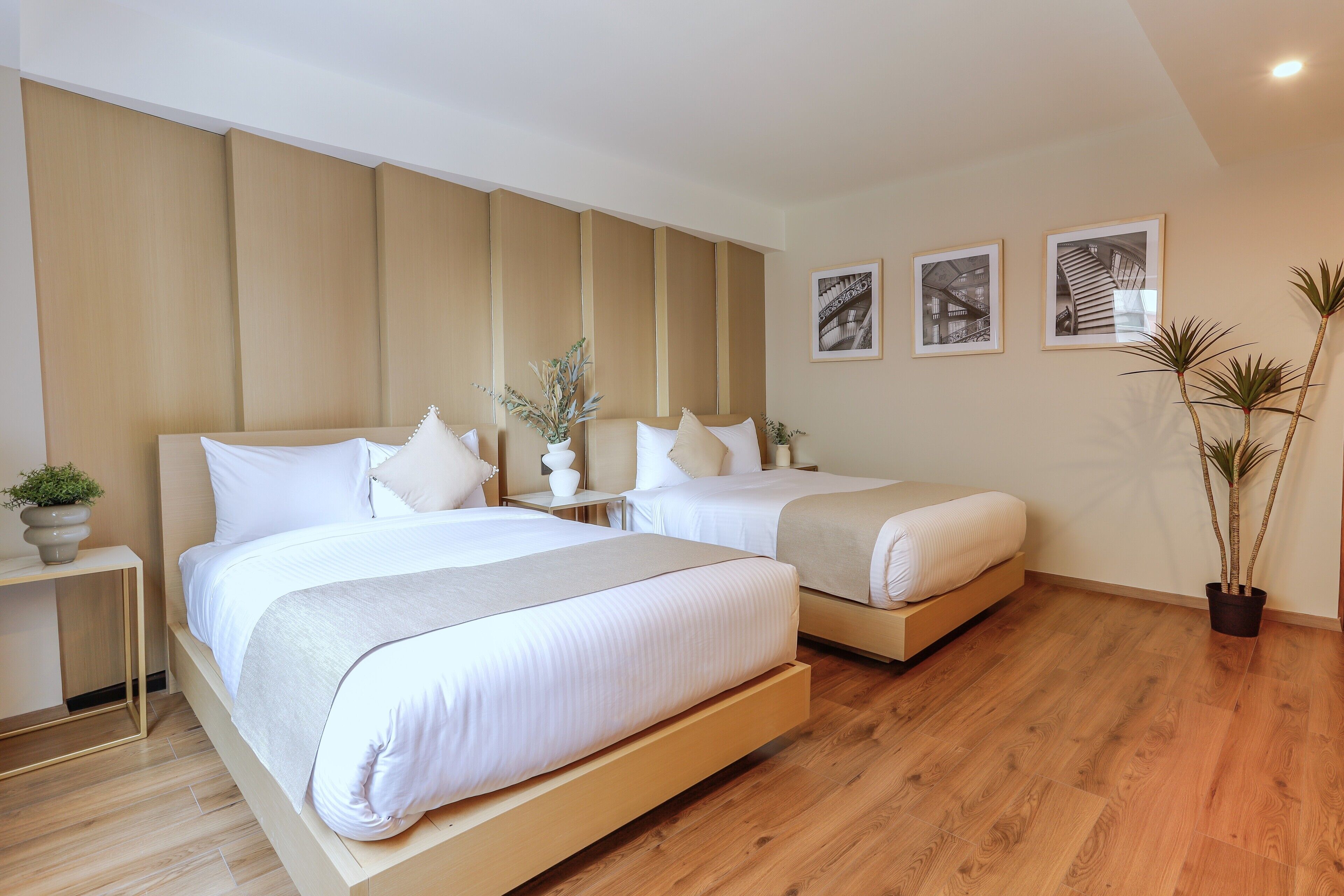 A modern hotel room with two beds, wooden flooring, a large window, and a potted plant.