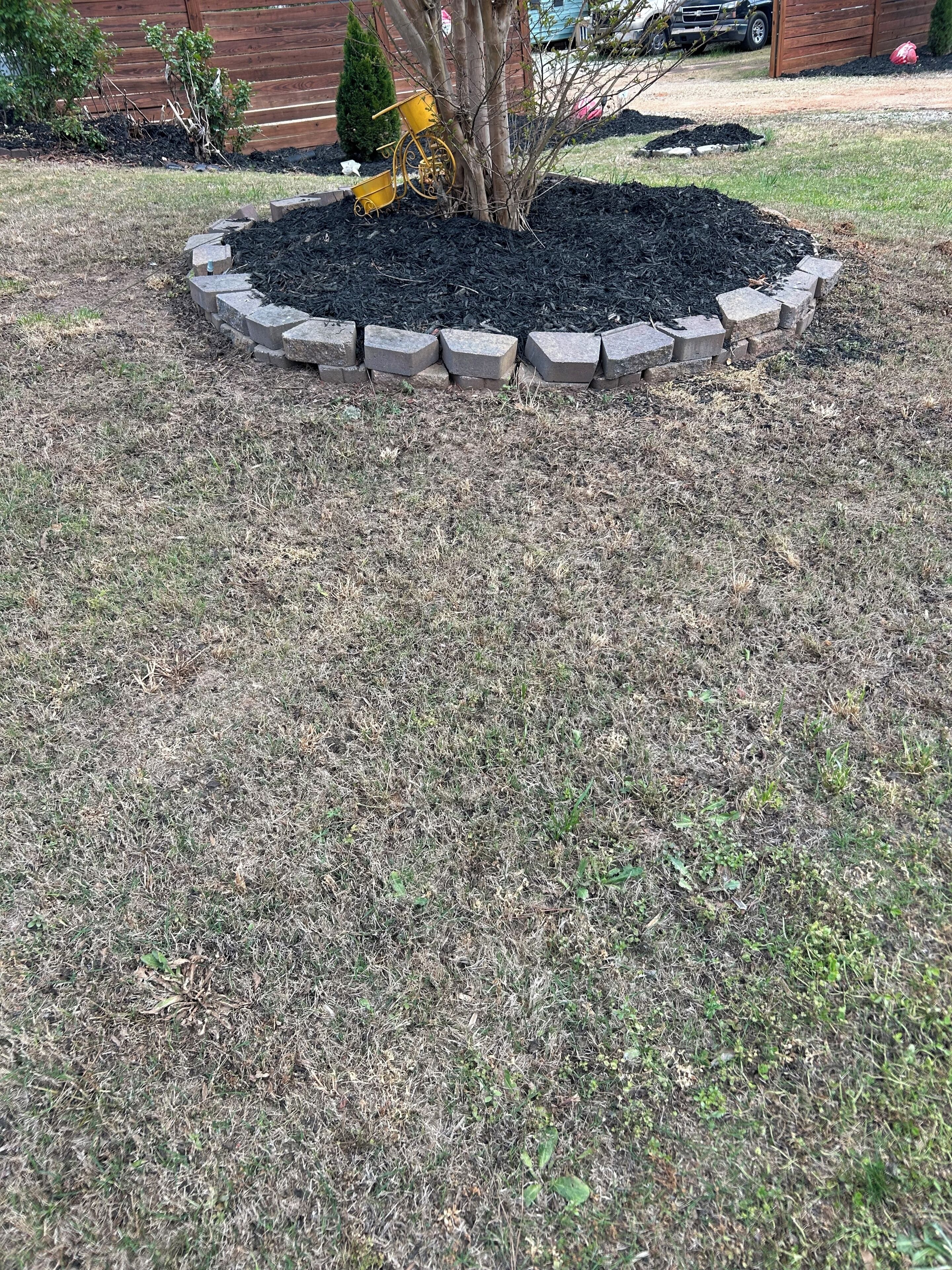 Un jardin avec un arbre, une bordure circulaire en pierre et un objet jaune.