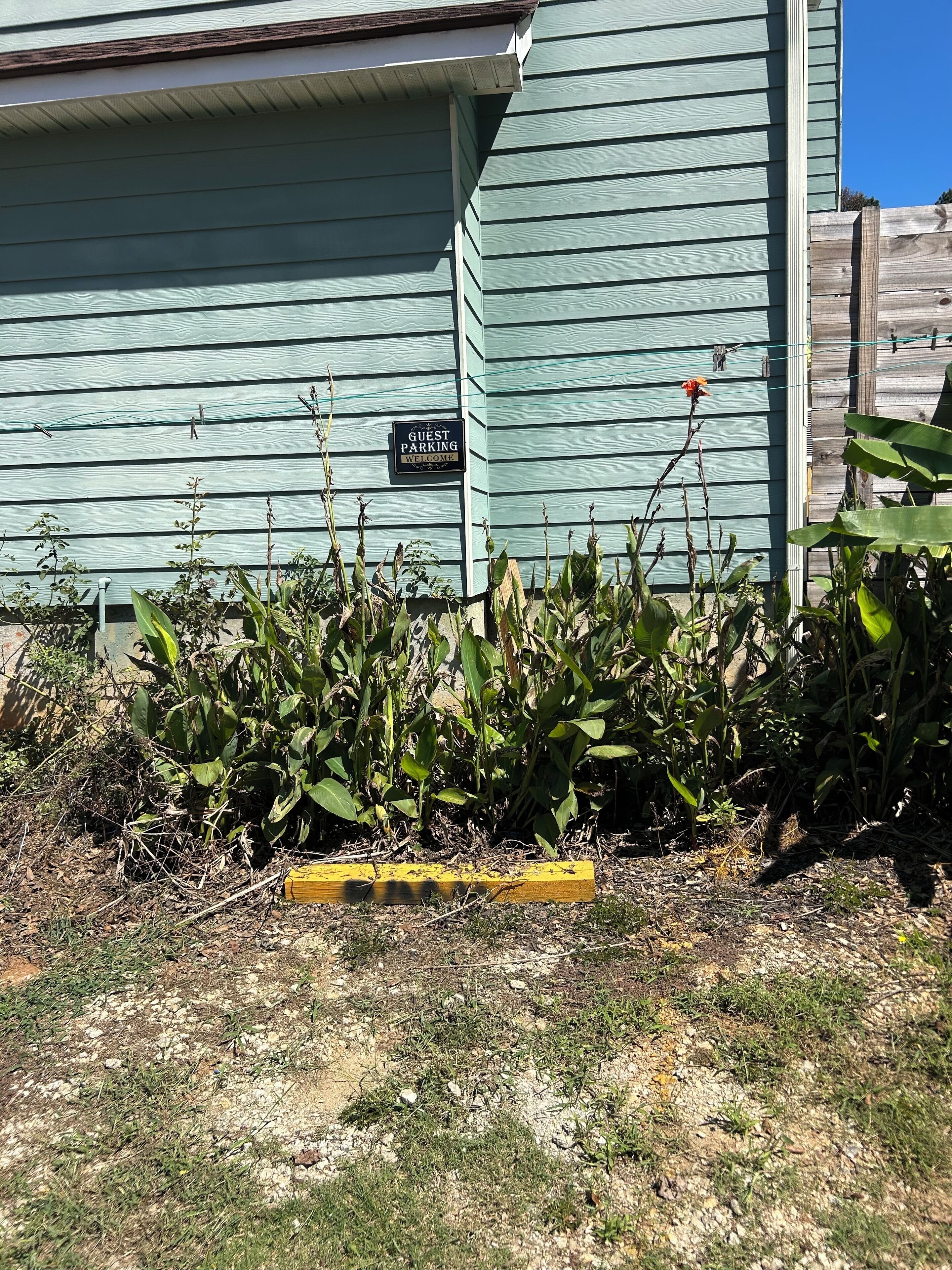 A building with a 'Guest Parking' sign, surrounded by vegetation and a gravel path.