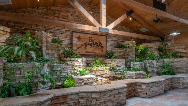 Un intérieur rustique avec des poutres apparentes, des murs en pierre et une variété de plantes d’intérieur.