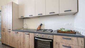 Fridge, oven, stovetop, cookware/dishes/utensils