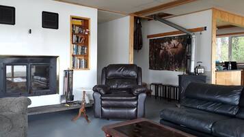 Cheminée, lecteur de DVD