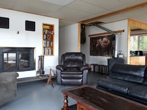 暖炉、DVD プレーヤー