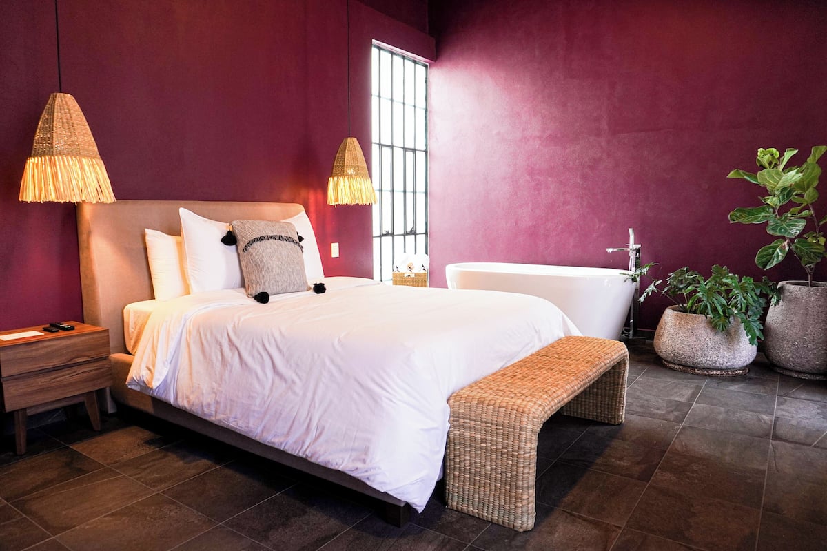 Suite Standard | 1 camera, biancheria da letto di alta qualità, copriletto in piuma