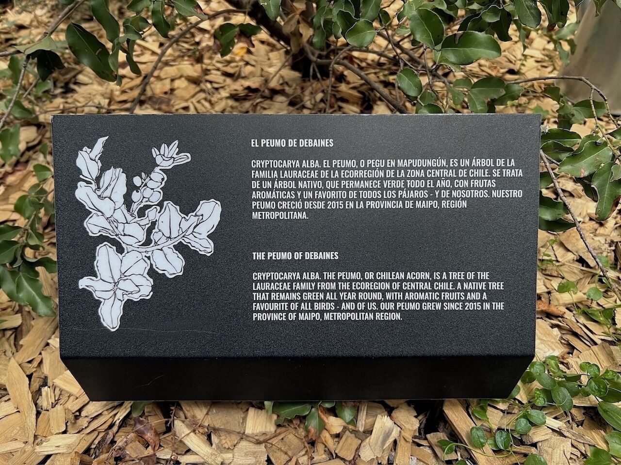 Foto - Debaines Hotel Santiago