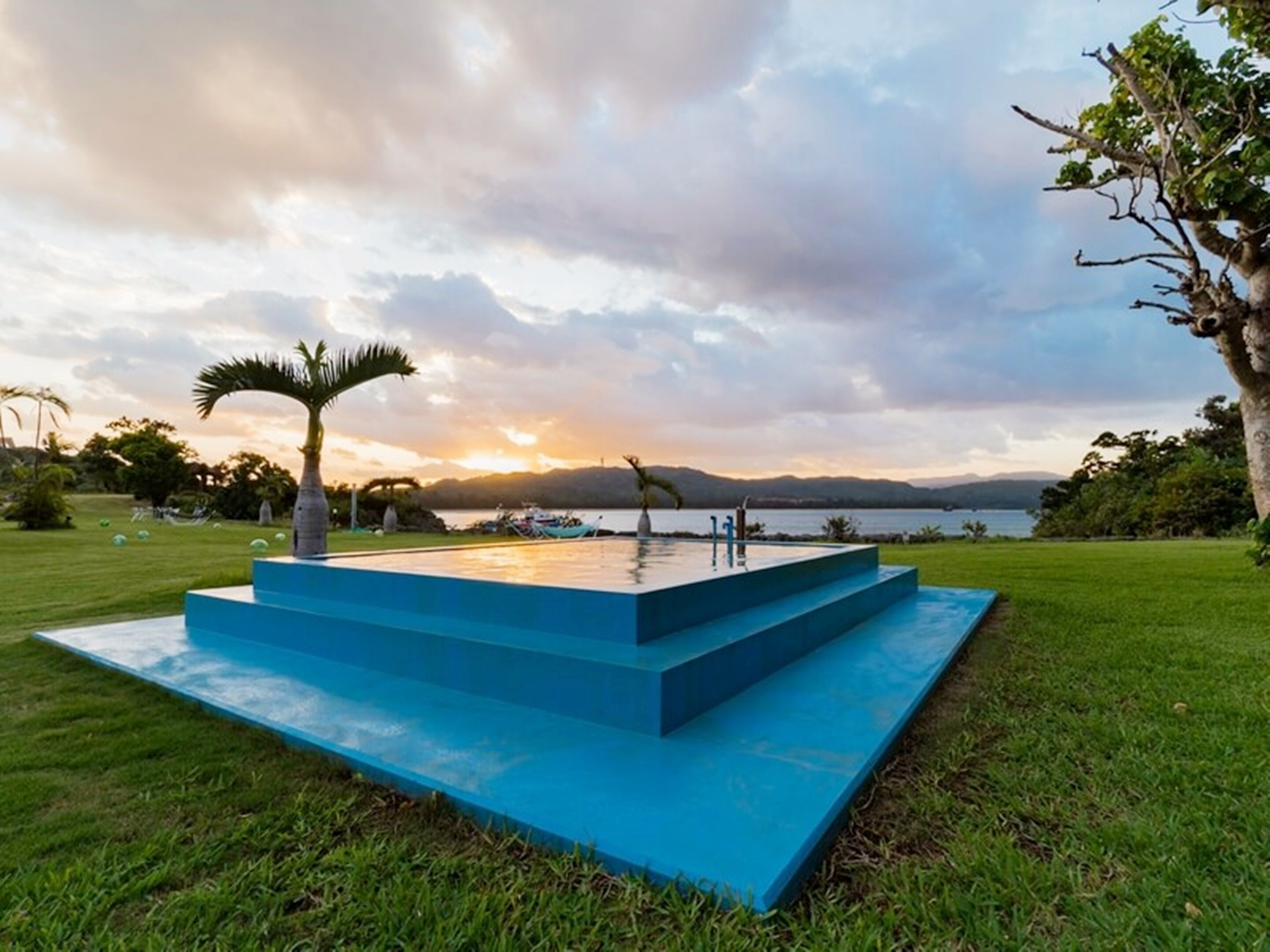 A rectangular pool with blue steps and a palm tree on the left.