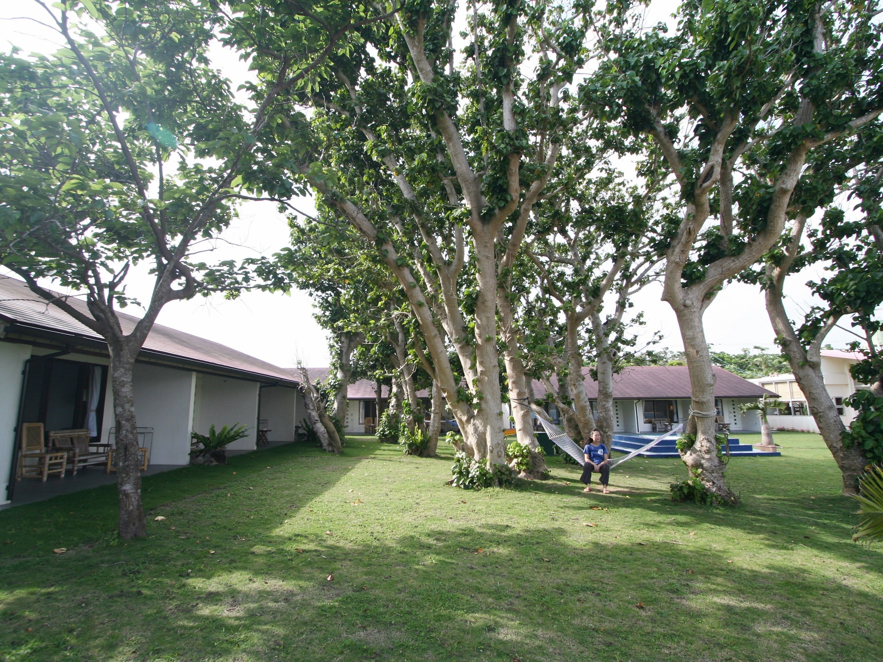 Un barrio residencial con césped, árboles y una hamaca.