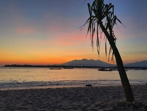 Vue sur la plage/l’océan