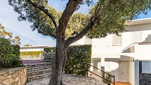 Un arbre dont le tronc est entouré de pierres, un escalier en pierre et un bâtiment aux murs blancs et aux volets fermés.