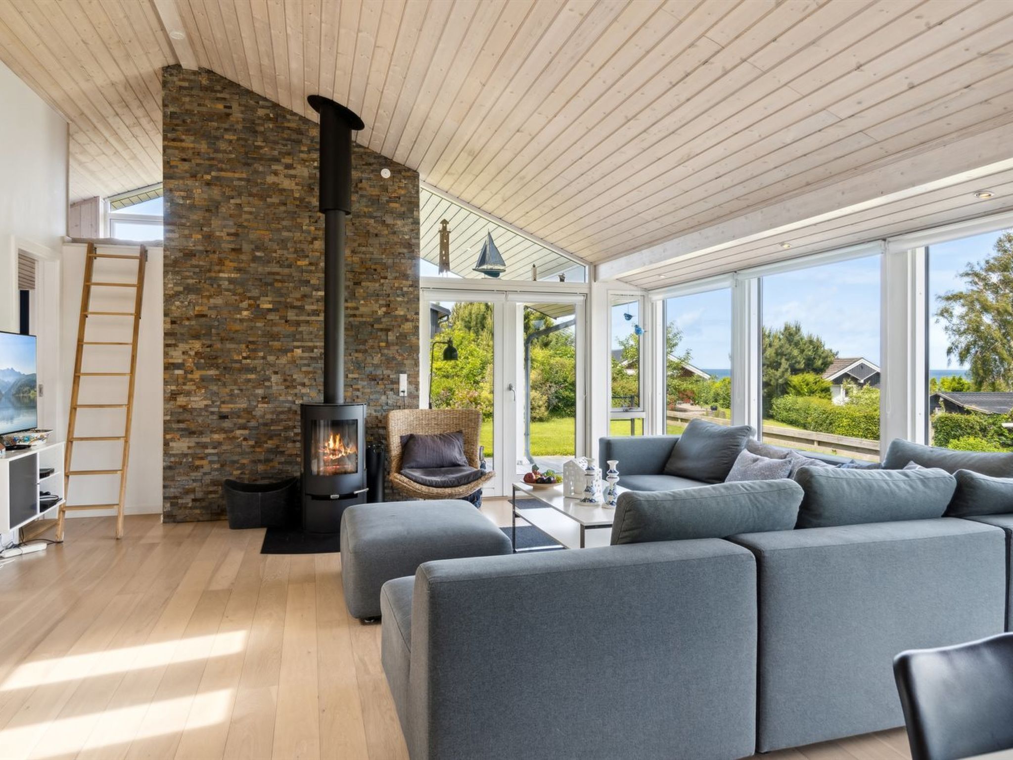 Televisión y chimenea 