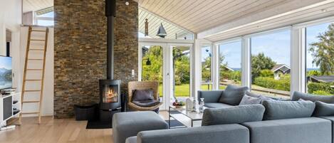 Una televisión, una chimenea