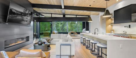 Télévision, cheminée, espaces bureaux