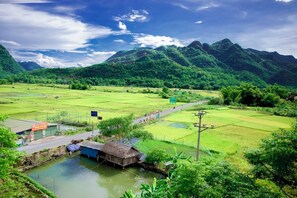 Paisaje rural con campos verdes, una masa de agua pequeña y una carretera.