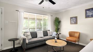 Télévision, cheminée, chaßne hi-fi