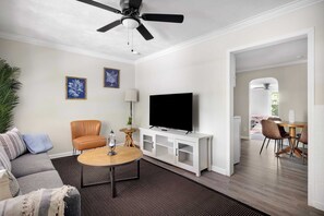 TV, fireplace, books, stereo