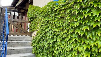 Detalle exterior