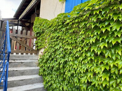 La Maison D'omélie de Tournemire