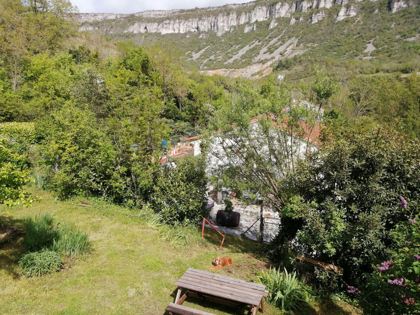 Un jardín con banco de madera, follaje denso y vista a un acantilado.