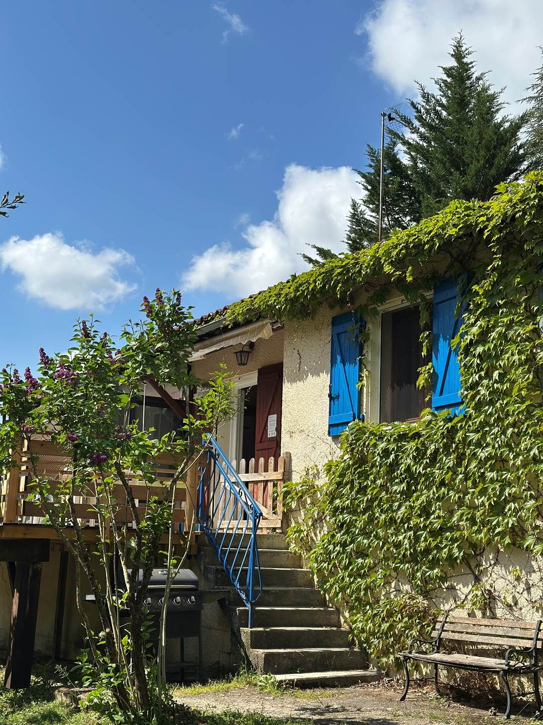 OmelieTerrasse printemps