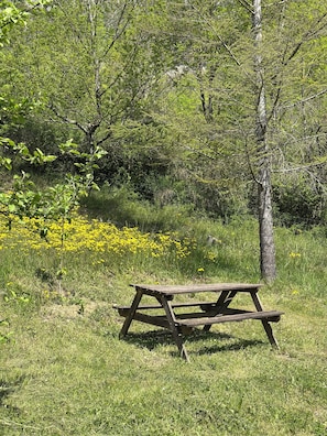 Une table de pique-nique se trouve dans un espace verdoyant, agrĂ©mentĂ© dâarbres et de fleurs jaunes.