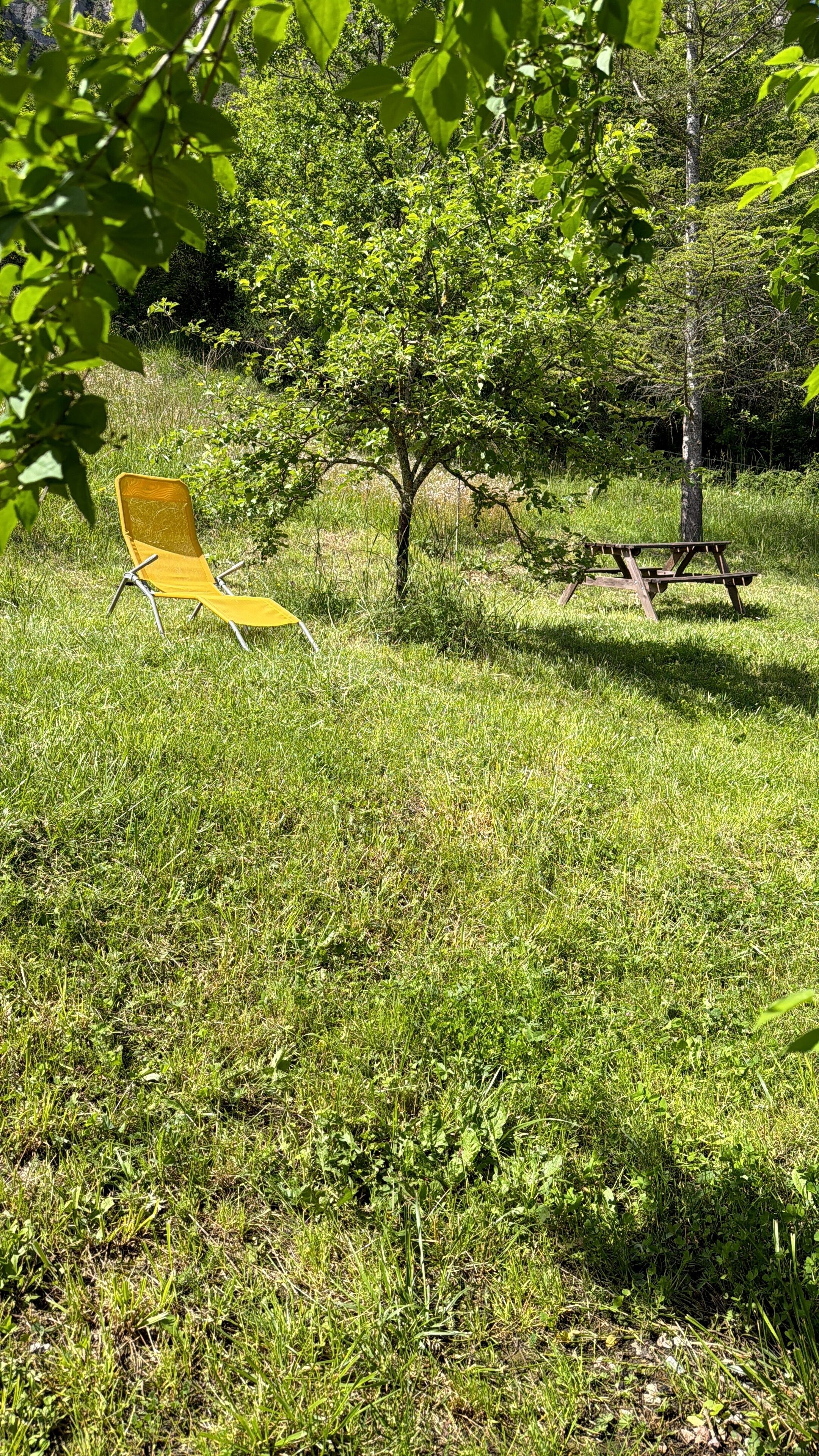 Un espace herbeux avec une chaise jaune et une table de pique-nique.