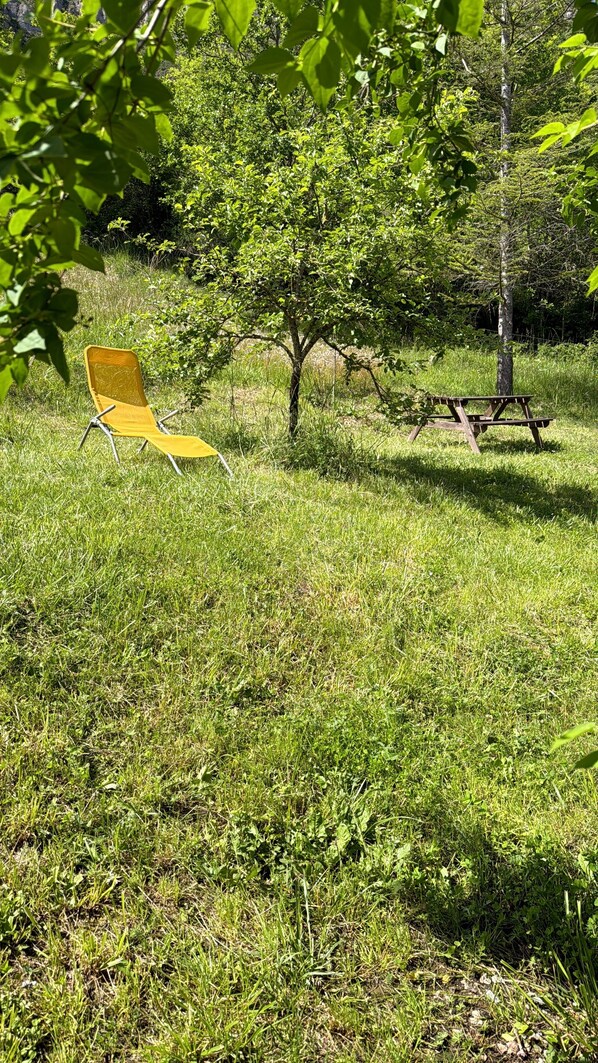 Un área con césped, una silla amarilla y una mesa de picnic.