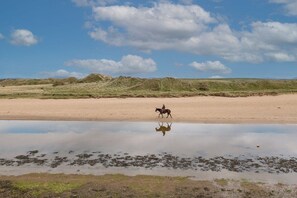 Een paard met ruiter op een zanderig strand, met een rustig waterlichaam dat de lucht en wolken weerspiegelt.
