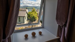 A window with a view of houses and a tree, and three spherical objects on the sill.