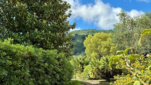 A stone pathway winding through a lush garden with dense foliage and a clear blue sky.