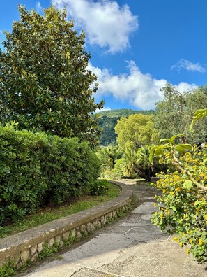 Property grounds - Holiday home in Sorrento ideal for hosting families and groups of friends. (Sorrento)