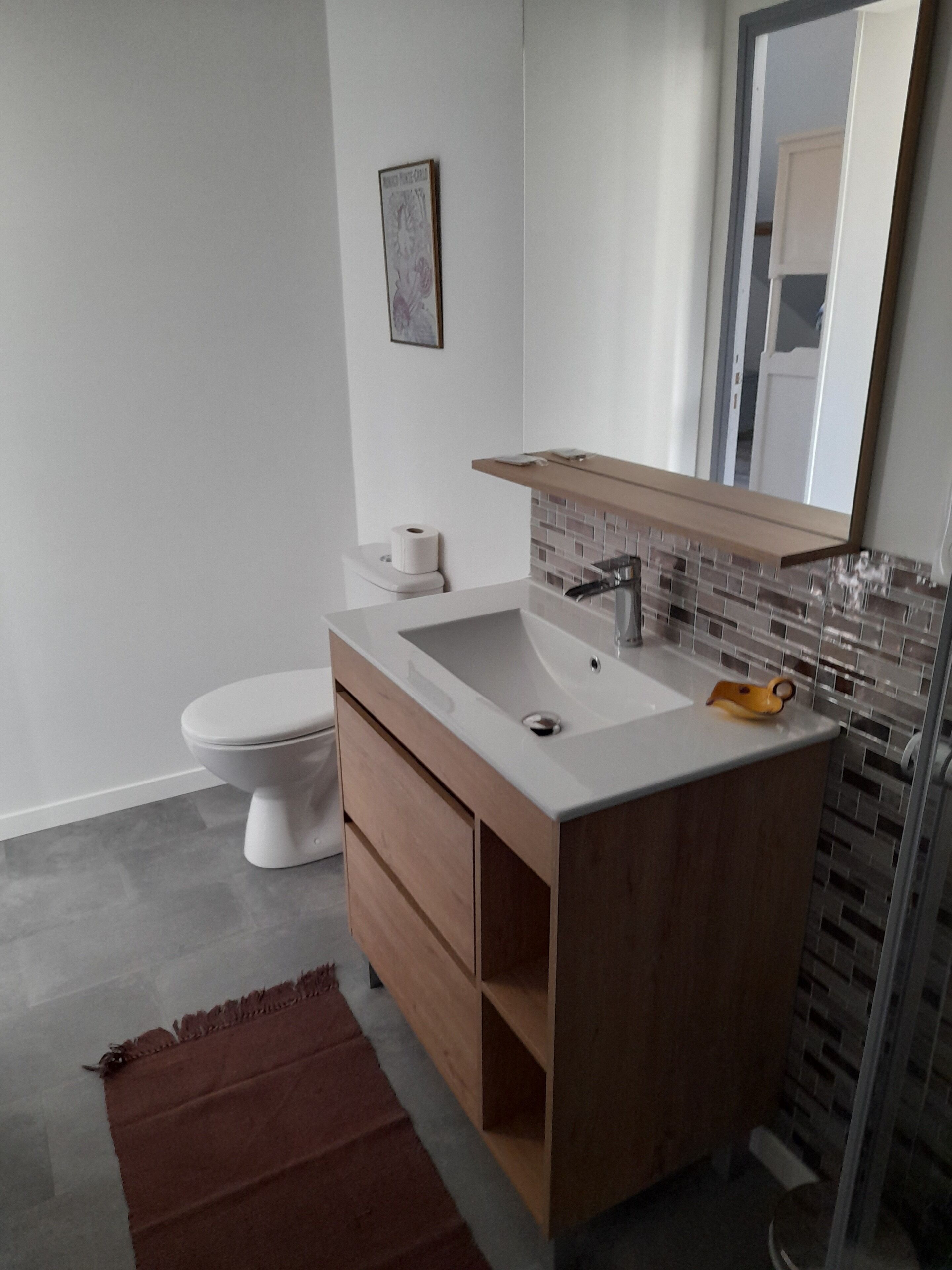 Shower, hair dryer, toilet paper