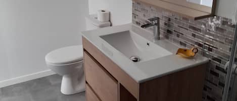 Regadera, secadora de cabello, papel de baño