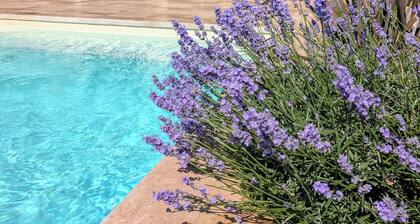 Villa neuve, Lumineuse au Calme Avec Piscine, Patio.. Tout ĂquipĂ©e pr 6pers..