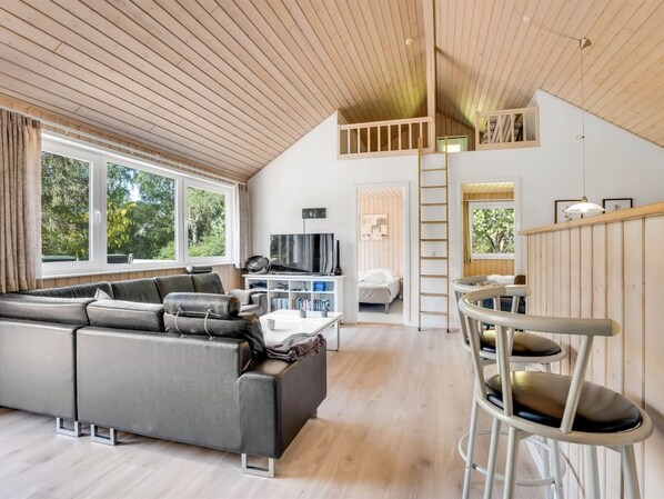 TV, fireplace, DVD player, foosball